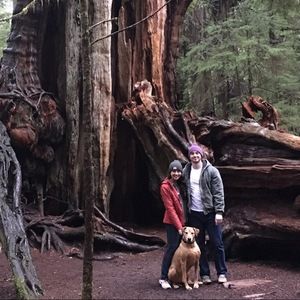 Meet your Posher, Lauren